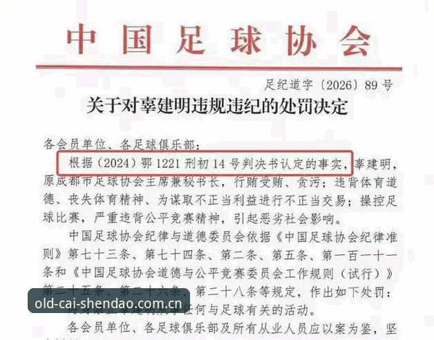 深度揭秘中国足协第三批禁足名单背后的腐败链条与体育真相
